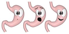 If you seem to be suffering from endless heartburn and upset stomach you may need to take a closer look at your digestive tract. read this article to find out how to support heartburn naturally. Digestive Tract, Upset Stomach, Habit Forming, Slow Down