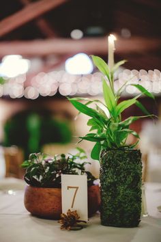 the table is set with candles, plants and place cards for guests to sit on