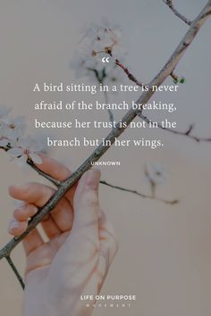 a hand holding a branch with white flowers on it and a quote about birds sitting in a tree never afraid of the branch breaking because her trust is not in the branch but