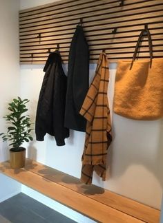 three coats hanging on the wall next to a potted plant and towel rack with two plants