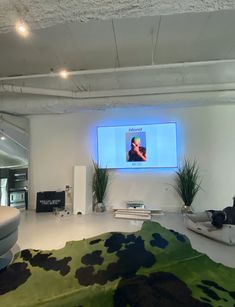 a living room filled with furniture and a flat screen tv mounted to the wall above it