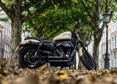 a motorcycle is parked in the middle of some leaves on the ground and trees behind it