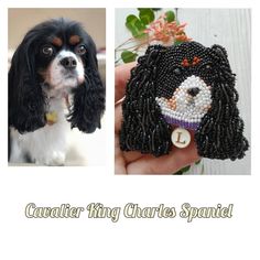 the beaded dog is wearing a purple collar and it's name is cavalder king charles spaniel