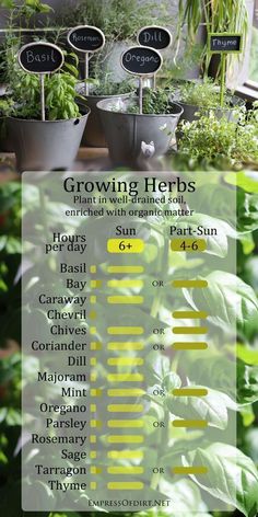 the growing herbs poster is displayed in front of potted plants