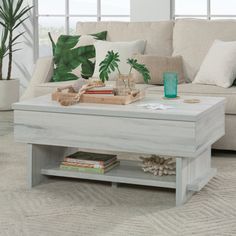 a living room with a couch, coffee table and potted plants