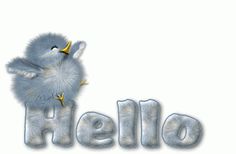 the word hello written in 3d with a bird on it's back and two smaller birds perched on top