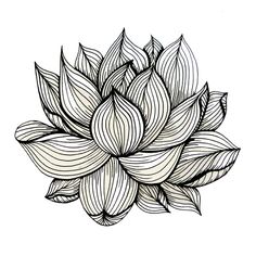 a black and white drawing of a lotus flower on a white background art print by