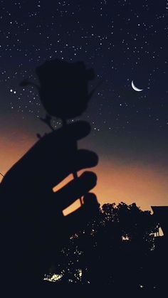 a hand holding up a small flower in front of the night sky