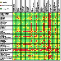 a chart with different colors and numbers on it