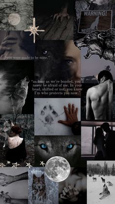 a collage of photos with wolf images