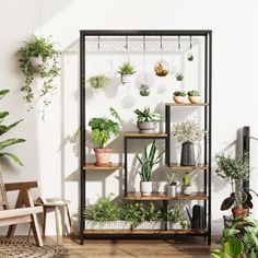 a room filled with lots of potted plants