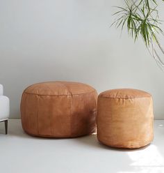 two leather stools sitting next to each other in front of a potted plant