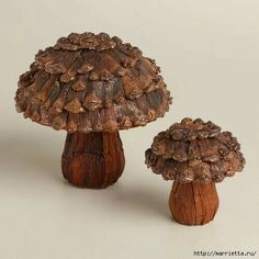 two small mushrooms sitting next to each other