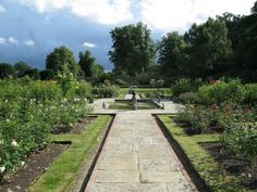 a garden with many different types of flowers and plants around it, including roses in the center