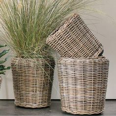 three wicker baskets with plants in them