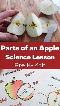 the parts of an apple science lesson for kids