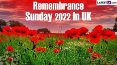 red flowers with the words remembrance sunday 2021 in uk on it's left side