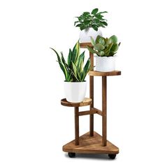 three potted plants sitting on top of a wooden stand