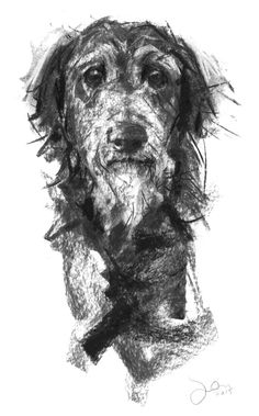 a black and white drawing of a dog with a bow tie on it's neck