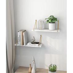 two white shelves with plants and books on them