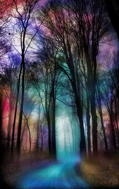 an image of a colorful forest scene with trees and blue light coming from the ground