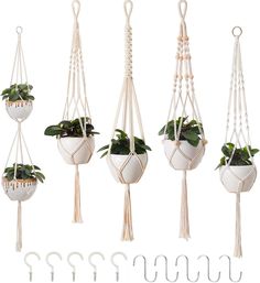 four macrame plant hangers with plants in them