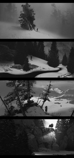 four different views of trees and snow in black and white, with the sun behind them