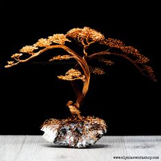 a small bonsai tree on top of a rock