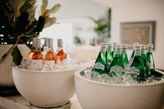 several bottles of beer are sitting in ice buckets on a counter top next to a potted plant