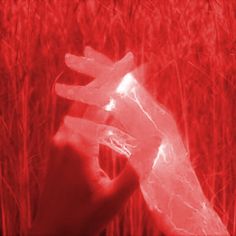 a hand holding an object in the middle of a red and black photo with grass behind it