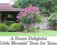 pink flowers are blooming in front of a fence and bushes on the side of a house