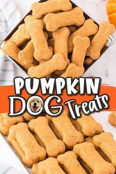 pumpkin dog treats stacked on top of each other with the words pumpkin dog treats above them