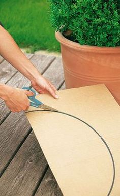 a person cutting a piece of cardboard with scissors on a table next to a potted plant