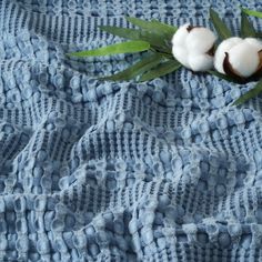 two cotton balls on top of a blue blanket with green leaves and grass sprouts