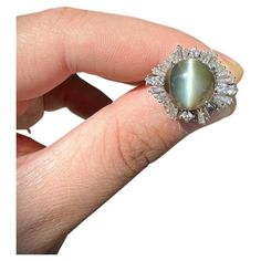 A fine platinum ring featuring a beautiful 7.02 carat cats eye chrysoberyl. It has a golden yellowish-green color with a strong sharp eye in its center which runs along both ends of the stone. It is complemented by a bright "sunburst” or diamonds, 1.40 carats, which are set around the cats eye in a brilliant pattern. Hand-fabricated in platinum and ready to be worn. Ring Size 6.75 Weight: 9.4 grams Cat Eye Jewelry, Sunburst Ring, Cats Eye Ring, Cats Eye, Fancy Jewellery, Eye Ring, Platinum Ring, Fashion Rings, Cat Eye