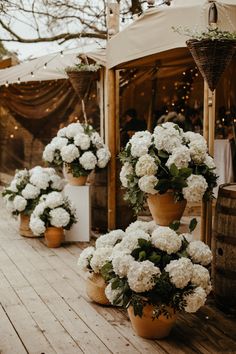 some white flowers are in pots on a wooden floor