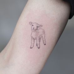 a small sheep tattoo on the right arm and leg, it looks like an ink drawing