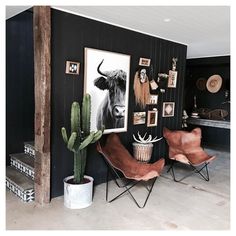 a living room with black walls and pictures on the wall next to two brown chairs