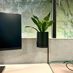 a plant in a black pot sitting on top of a desk next to a computer monitor