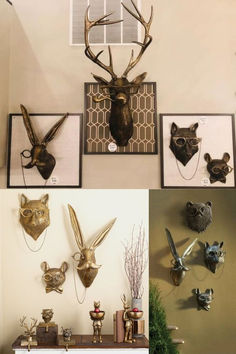 there are many different types of deer heads on the wall