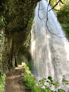 a large waterfall in the middle of a forest next to a dirt path and trees