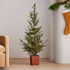 a small christmas tree in a pot next to a couch