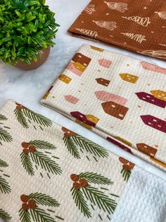 three placemats on a table with plants and potted plant in the background