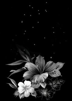 black and white flowers with stars in the background