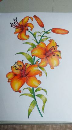 a drawing of orange flowers on a white paper