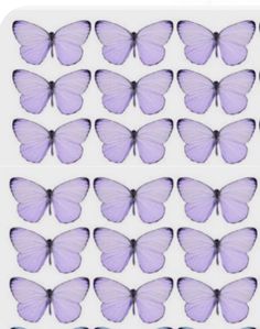 purple butterflies are arranged in rows on a white background