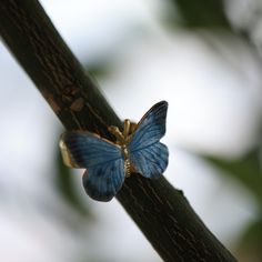 Embrace the beauty of transformation with our Butterfly Earrings. These stunning earrings capture the delicate grace of butterflies, symbolizing growth and new beginnings. Expertly crafted with intricate details, they add a whimsical touch to any outfit, making them perfect for both casual and special occasions. Let the Butterfly Earrings flutter into your jewelry collection and remind you of life's endless possibilities. Material Composition:  Base Metal: 925 Sterling Silver Finish: 18K Gold Plated Color: Hot Blue and Grey Enamel - Handmade  Care Instructions:  Avoid Exposure: Keep your earrings away from harsh chemicals, perfumes, and lotions to prevent tarnishing and discoloration. Storage: Store your earrings in a cool, dry place, ideally in a jewelry box or pouch, to protect them from Blue Nature-inspired Jewelry For Wedding, Nature-inspired Blue Jewelry For Wedding, Nature-inspired Blue Jewelry For Weddings, Delicate Butterfly Jewelry With Matching Earrings, Dainty Blue Butterfly Jewelry, Elegant Blue Sterling Silver Butterfly Ring, Elegant Blue Butterfly Jewelry, Blue Butterfly Fine Jewelry, Blue Butterfly Charm Earrings For Gift