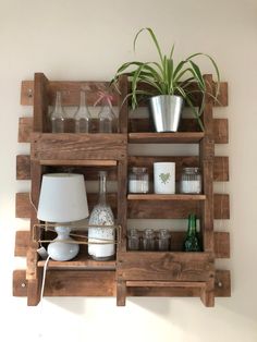 a shelf that has some plants on top of it