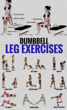 the dumbbell leg exercises poster is shown