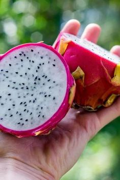 a person holding a dragon fruit in their hand